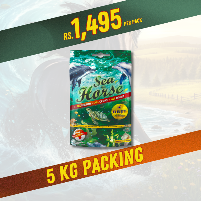 Sea Horse Customised Granules