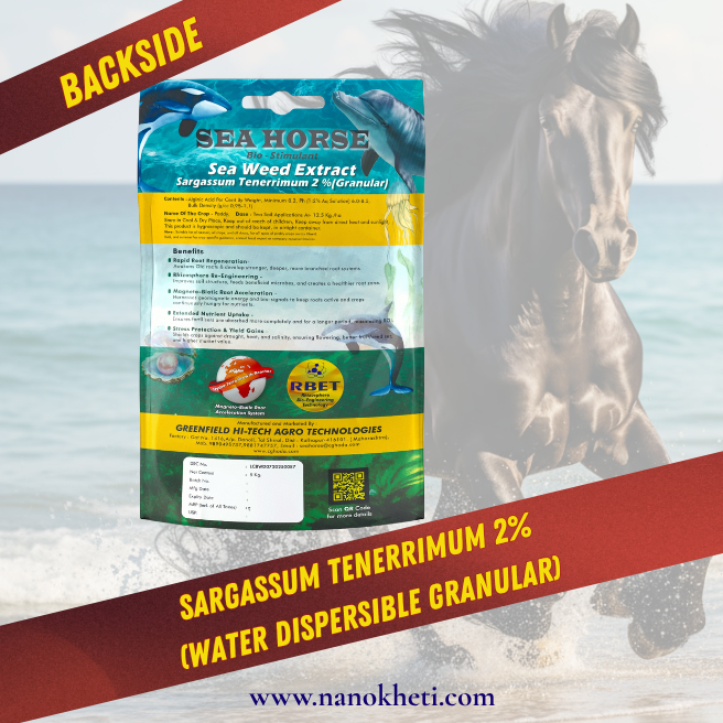 Sea Horse Back Label